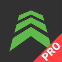 BlitzerdePRO