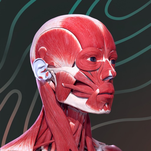 Easy Anatomy 3D with Voice AI (Hacked)
