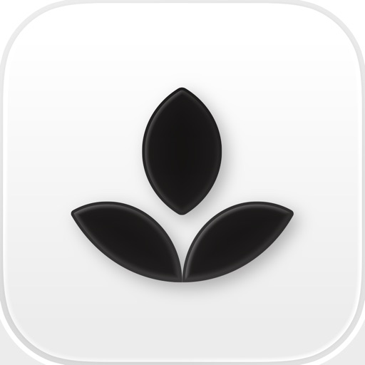 Emphasis: Flow & Focus Timer (Hacked)